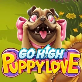 Enjoy Go High Puppy Love by RubyPlay – logo hosted on casinokcasino.eu